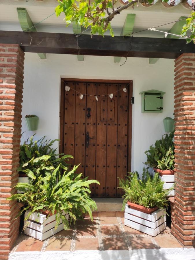 El Hogar De Lucia Villa Casares Eksteriør bilde